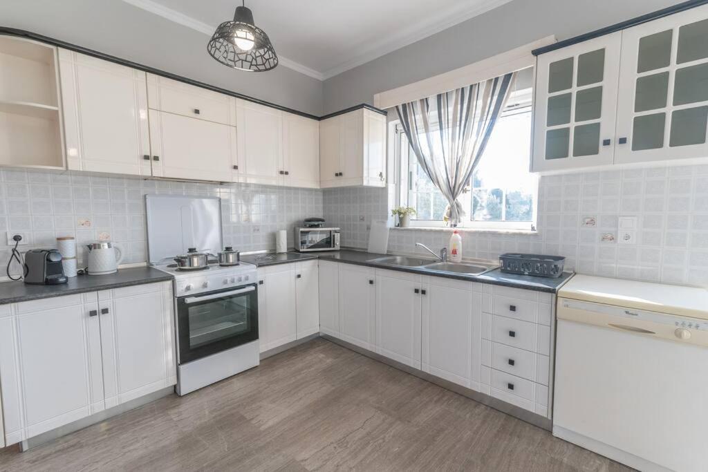 Dion House Διαμέρισμα Ψαλίδι Εξωτερικό φωτογραφία