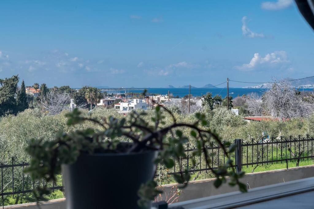 Dion House Διαμέρισμα Ψαλίδι Εξωτερικό φωτογραφία